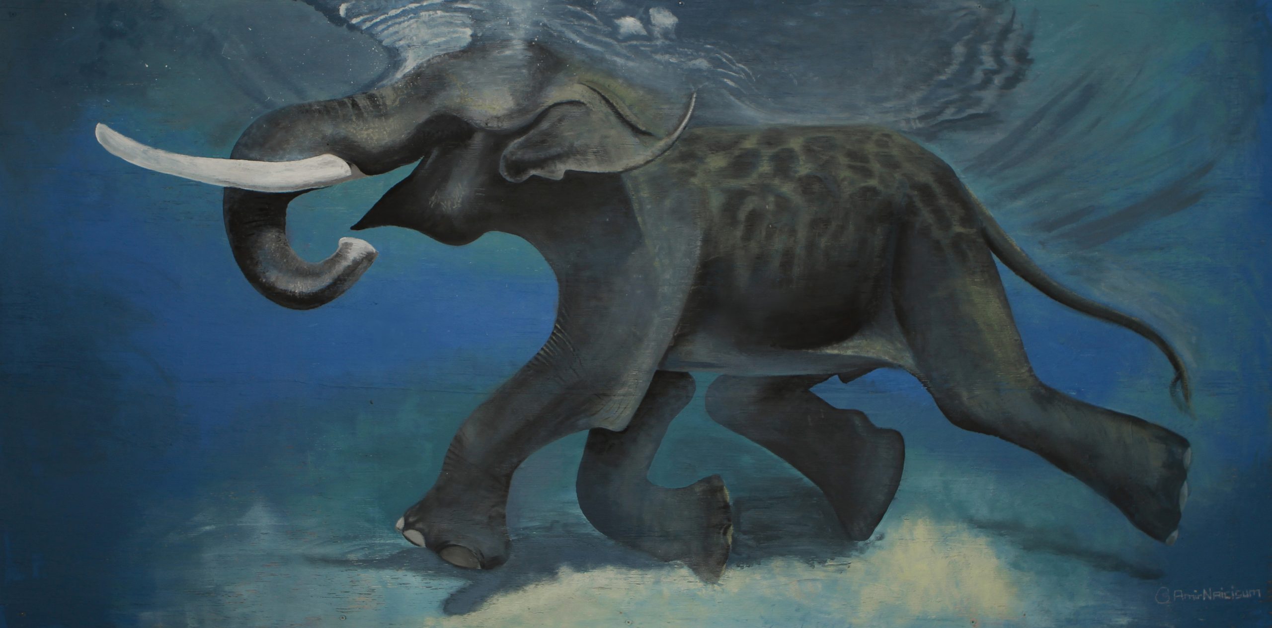 Amir-Shakir-Artwork-Acrylic-on-Canvas-Elephant-Feather-Weight